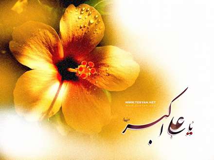 خورشید دل‌آرای حسین، ثانی احمد