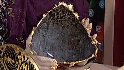 ترک کروکدیل _ خانم موسوی