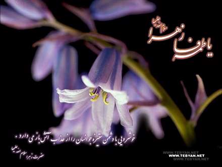 ان روز که من هستم و تاریکی قبر/جان حسنت برس به دادم زهرا(س)