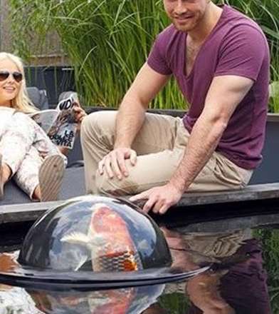 پنجره ای برای ماهی ها