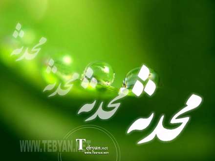 سینه اش بویید پیغمبر که مینوی من است/فاطمه هم فکر و هم سیما و هم خوی من است