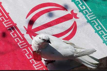 خاکسپاری دو شهید غواص در حوزه هنری