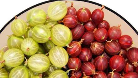 میوه ایی به نام انگور فرنگی