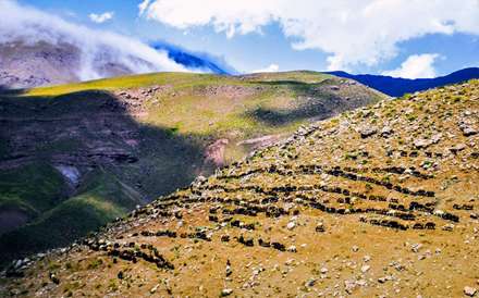 زندگی عشایری در منطقه ییلاقی زرد گله