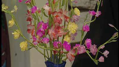 ارکیده مینیاتوری