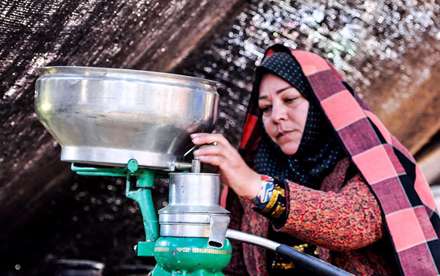 زندگی عشایری در منطقه ییلاقی زرد گله