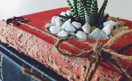 کتاب های زندگی بخش