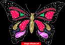 تصویر متحرک پروانه رنگارنگ درخشان