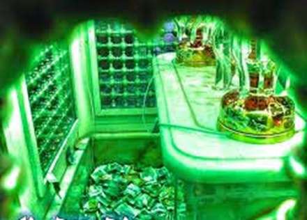 امام زاده ابوالحسن (شهر ری)