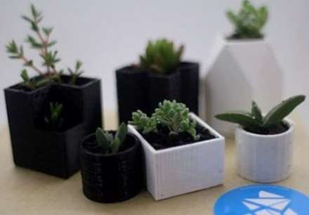 شطرنج گیاهی