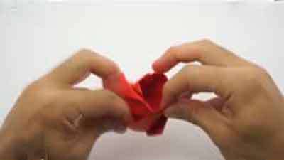 گل رز کاغذی 