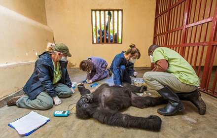 فینالیست های مسابقه عکاسی حیات وحش