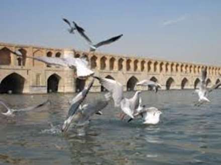 پل سی وسه پل