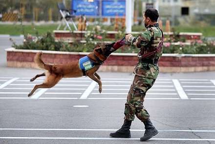 مانور اقتدار یگان های ویژه نیروی انتظامی