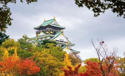 رنگ آمیزی زیبای طبیعت در فصل پاییز