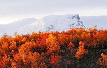 رنگ آمیزی زیبای طبیعت در فصل پاییز