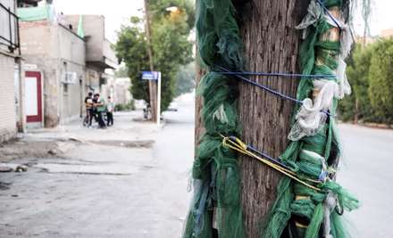 علم های چوبی