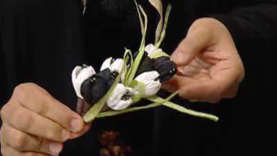 گل لاله کاغذی