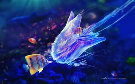 ماهی ژله ای