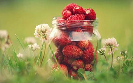 شیشه توت فرنگی
