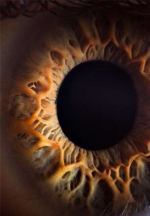 تصاویری عجیب از چشم انسان