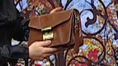 کیف مدارک (2) _ خانم بروشک