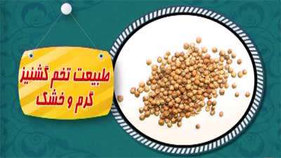 خواص تخم گشنیز