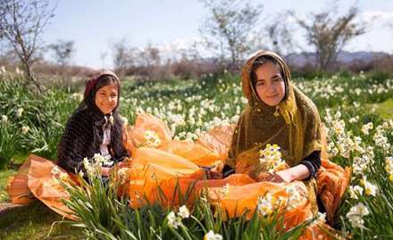 شیراز/جشن گل نرگس در روستای جره