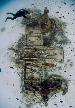 مسابقه عکاسی از دنیای زیر آب