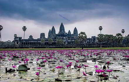 دریچه را باز کن؛ جهان خیره کننده اینجاست