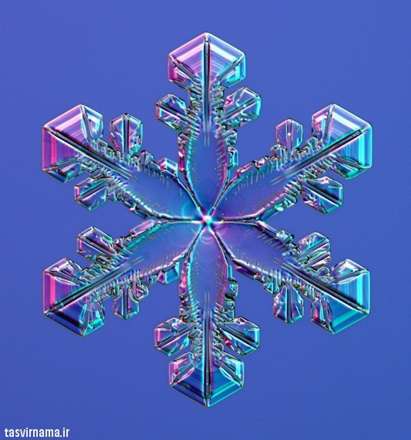 اشکال واقعی دانه های برف
