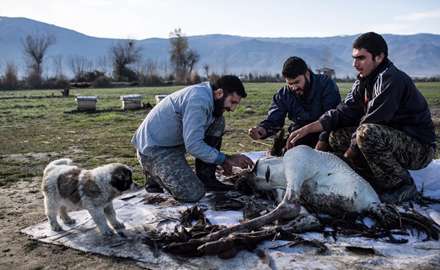دریایی در همسایگی دریا