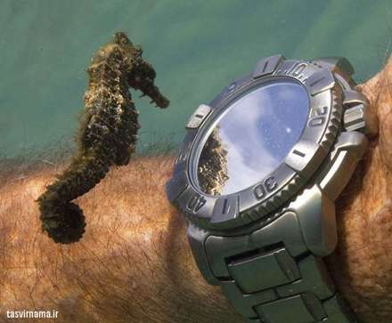 تصاویر شگفت انگیز از سیاره زیبای ما 3