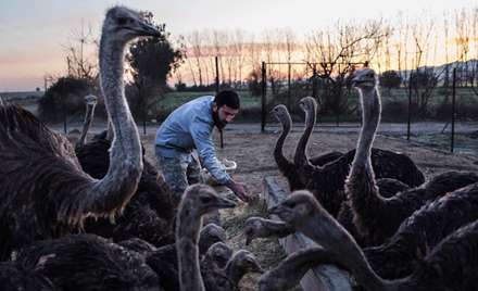 دریایی در همسایگی دریا