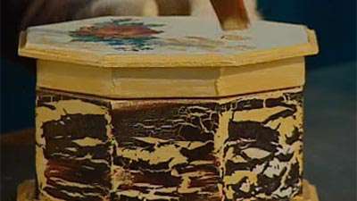 ترک روی چوب 