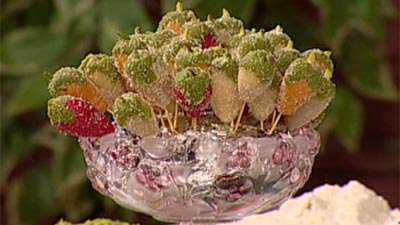 شیرینی توت قزوین