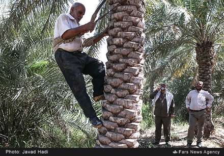 اردوی جهادی فرهنگی بسیج در روستای محرزی