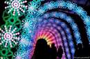 جشنواره نورهای زمستانی در ژاپن