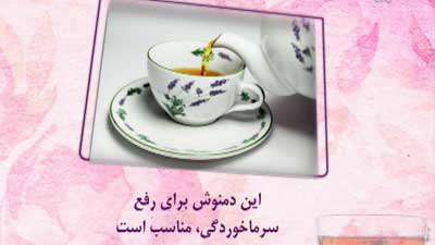 دمنوش کاکوتی