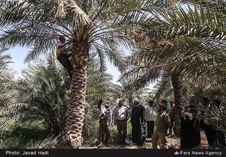 اردوی جهادی فرهنگی بسیج در روستای محرزی