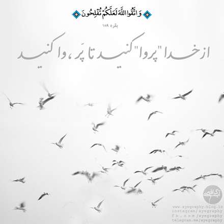 سوره بقره آیه 189