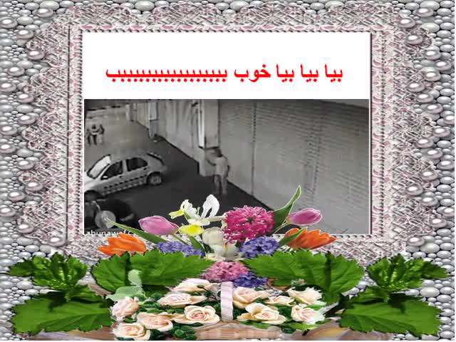 طنز شماره 7