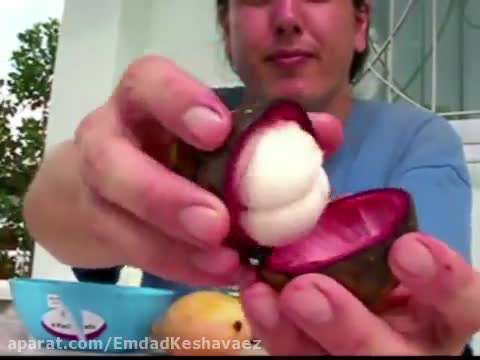 ترگیل یک میوه شیرین استوایی