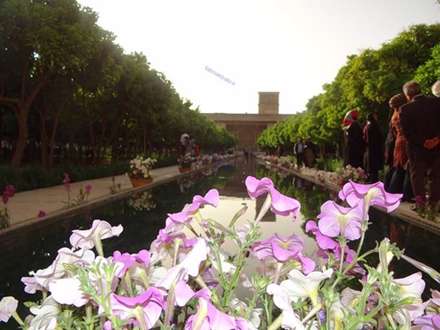 «باغ ارم»، تکه ای از بهشت و ارگ و باغ دلگشای شیراز