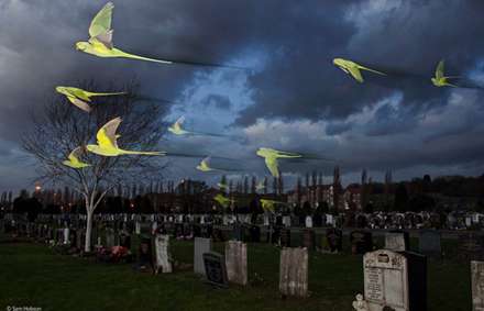 برترین عکس‌های حیات‌وحش سال