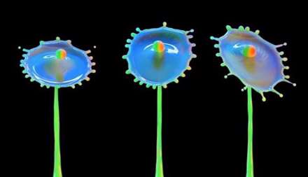 عکس های باور نکردنی و جادویی از هنر قطره ها