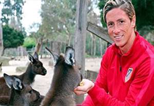 حضور فرناندو تورس در باغ وحش ملبورن