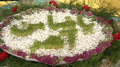 جوانه زدن گیاهان