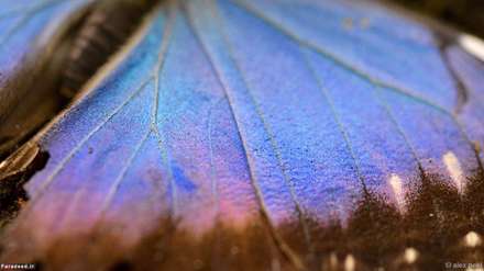 زیبایی جهان در یک قاب کوچکتر