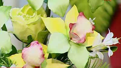 گل ارکیده برندر (1)